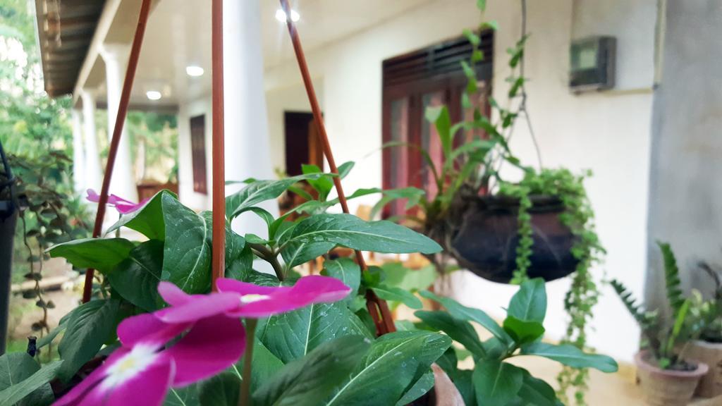 Kassapa Home Stay 시기리야 외부 사진